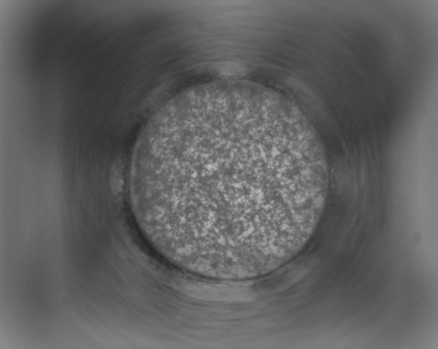 X0000073470032200608181342