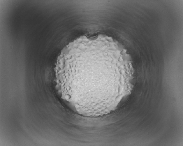 X0000073470034200608181342