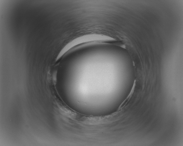 X0000073470037200608181342
