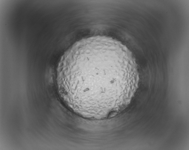 X0000073470038200608181342
