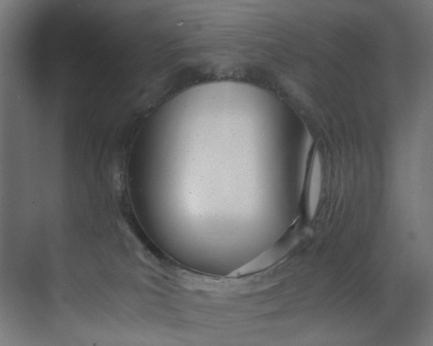 X0000073470039200608181342