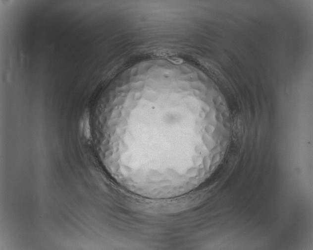 X0000073470046200608181342