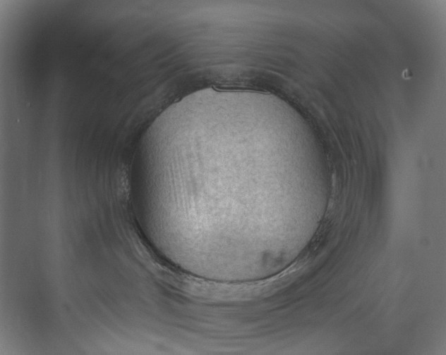 X0000073470048200608181342