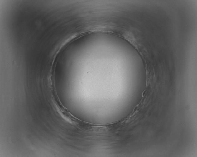X0000073470050200608181341