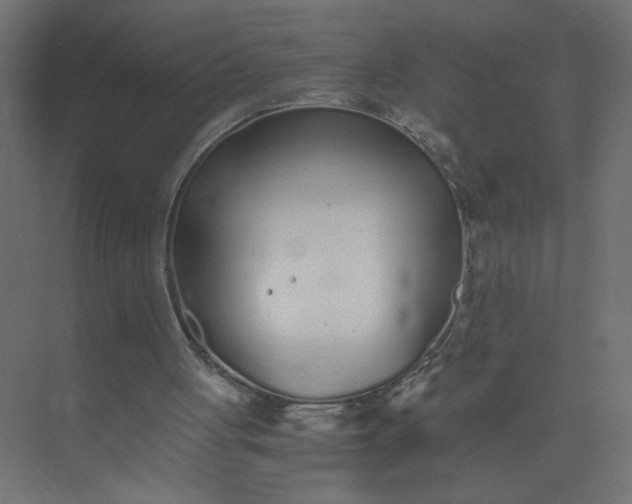 X0000073470051200608181341