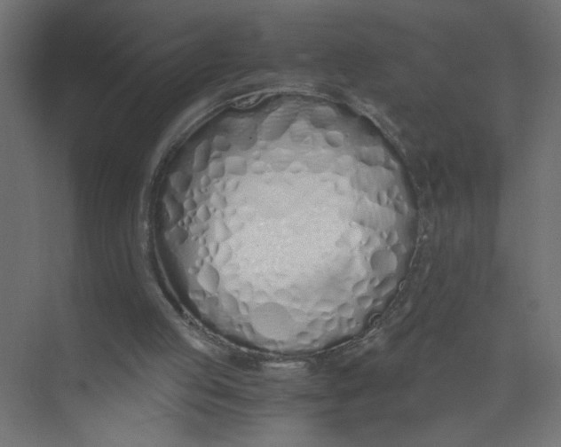 X0000073470053200608181341