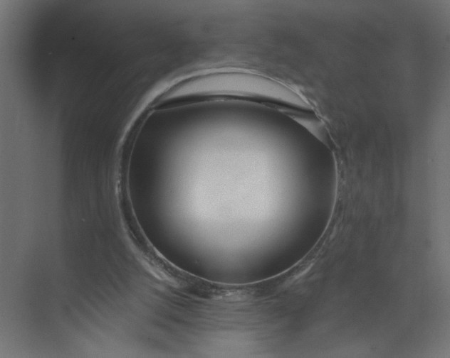 X0000073470056200608181341