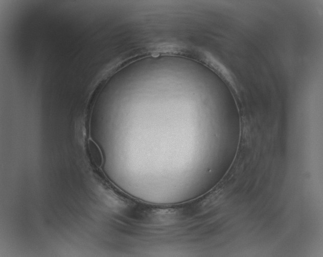 X0000073470059200608181341