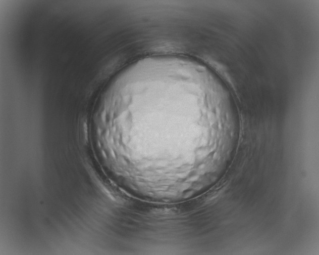 X0000073470061200608181342