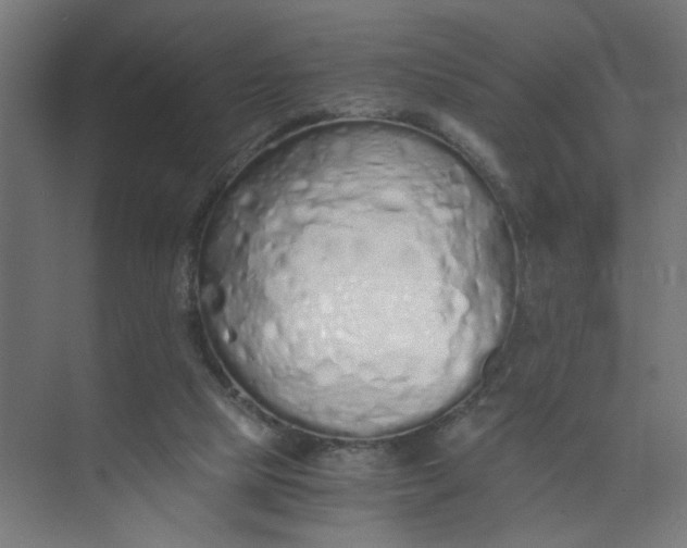 X0000073470065200608181342