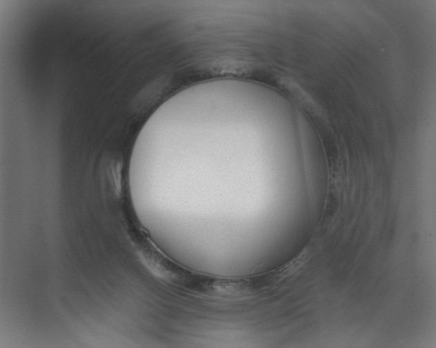 X0000073470070200608181342