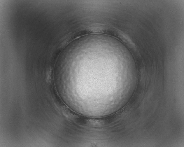 X0000073470073200608181342