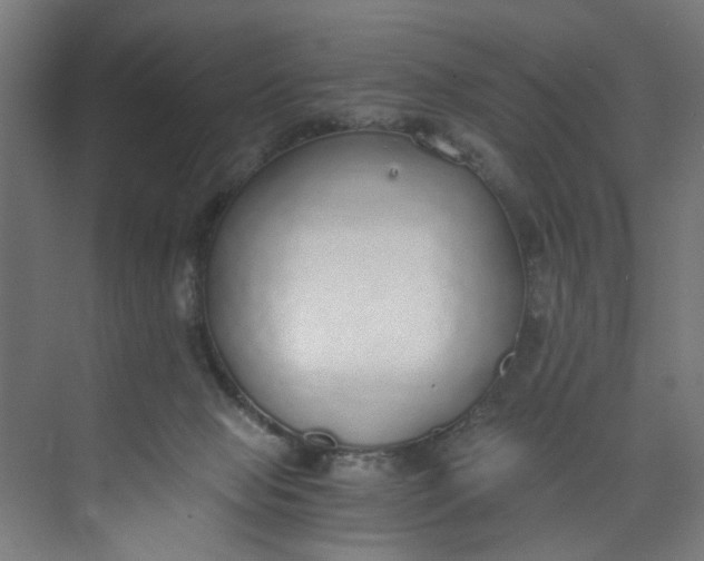 X0000073470077200608181342