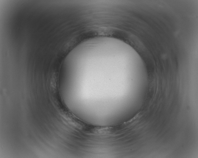 X0000073470078200608181342
