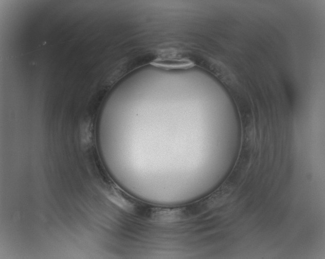 X0000073470081200608181342