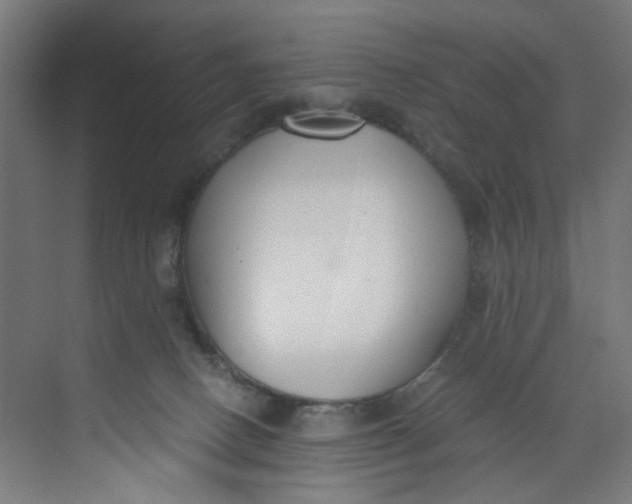 X0000073470082200608181342