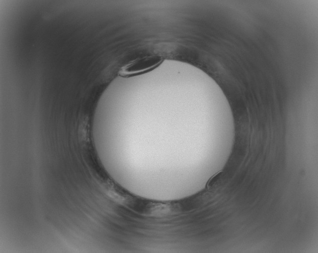X0000073470083200608181342
