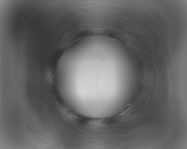 X0000073470086200608181342