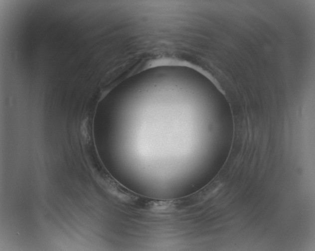 X0000073470088200608181342