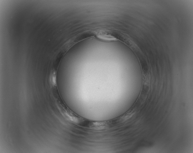 X0000073470095200608181342