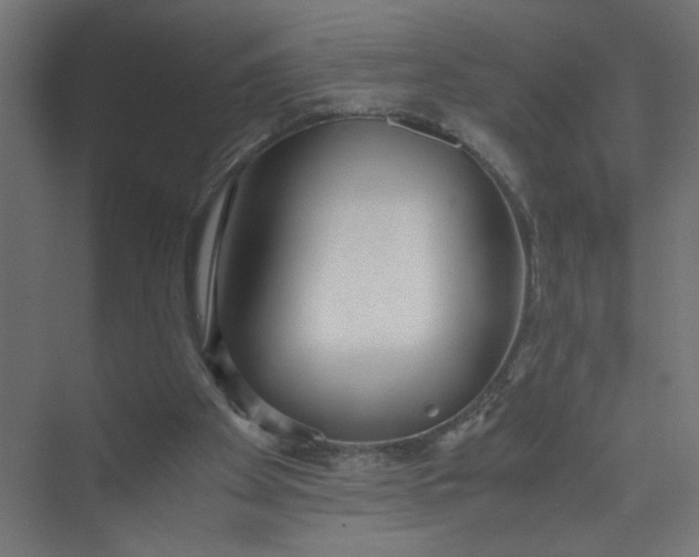 X0000073470105200608181341