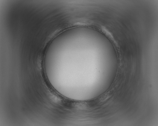 X0000073470106200608181341