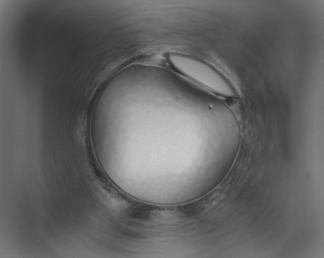 X0000073470107200608181341