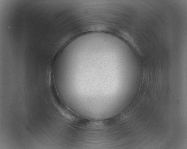 X0000073470110200608181341