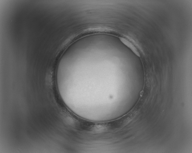 X0000073470111200608181341