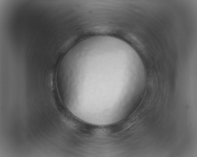 X0000073470115200608181341