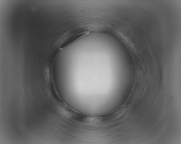 X0000073470117200608181341