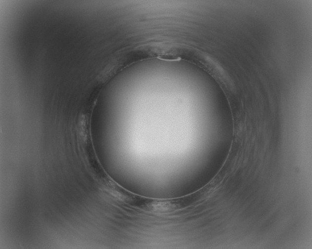 X0000073470121200608181341