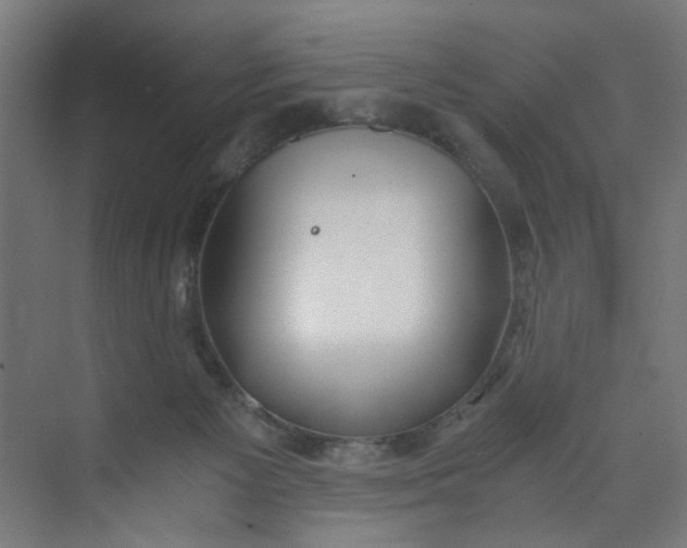 X0000073470125200608181341