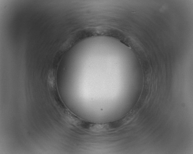 X0000073470129200608181341
