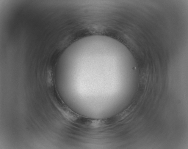 X0000073470130200608181341