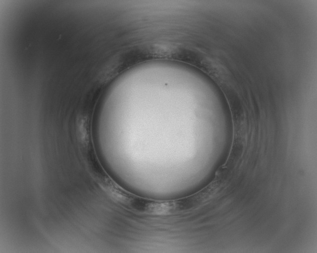 X0000073470131200608181341