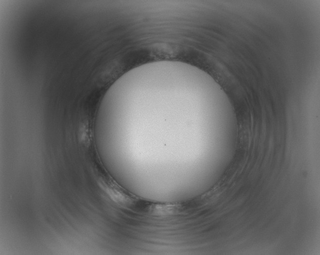 X0000073470134200608181341