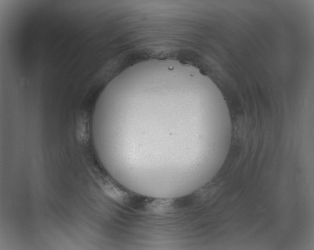 X0000073470138200608181341