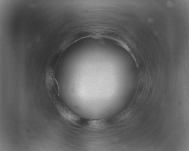 X0000073470141200608181341