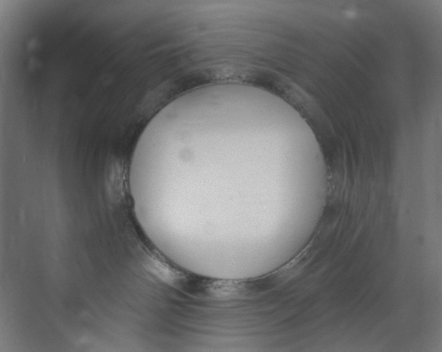 X0000073470142200608181341