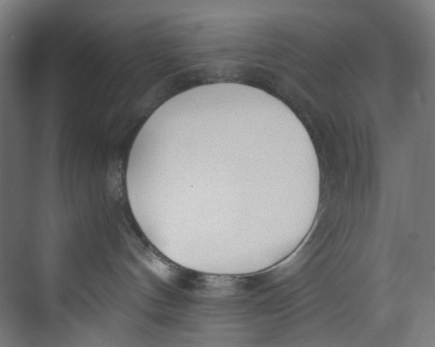 X0000073470144200608181341