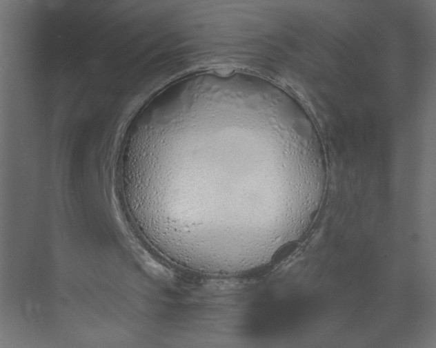 X0000073470145200608181340