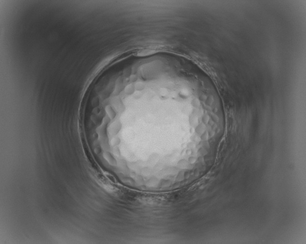 X0000073470147200608181340