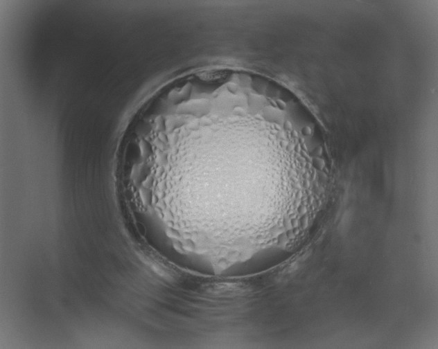 X0000073470151200608181340