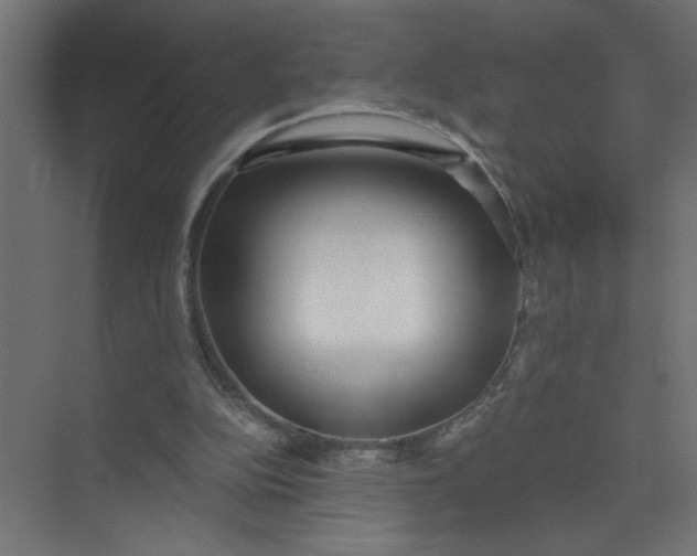 X0000073470152200608181340