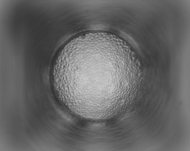 X0000073470155200608181340