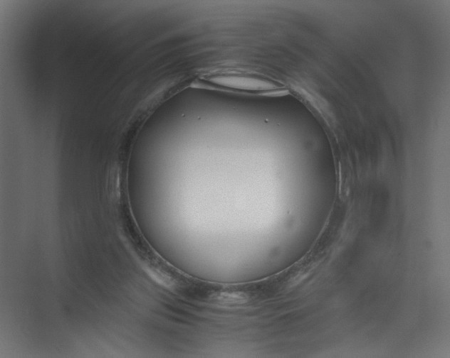 X0000073470157200608181340