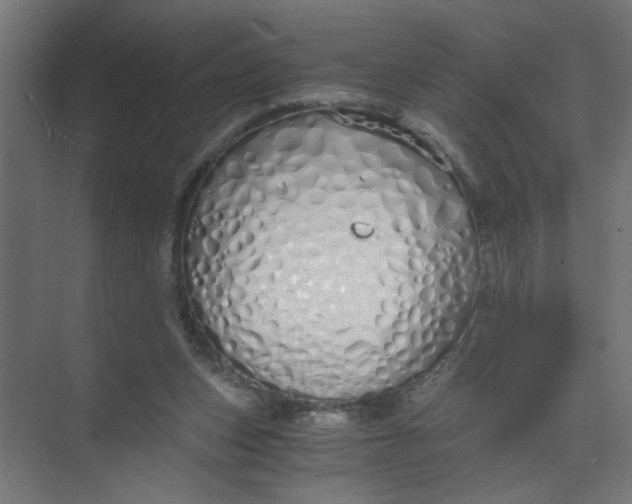 X0000073470159200608181340