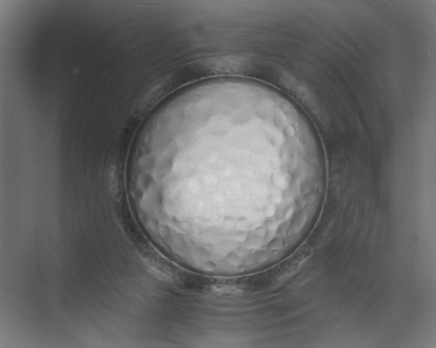 X0000073470161200608181340