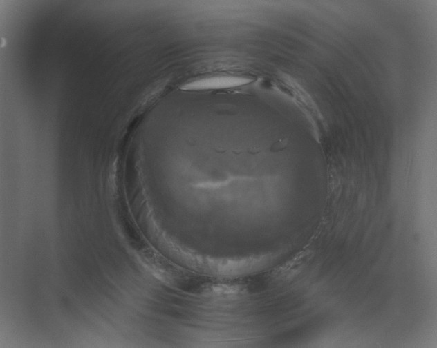X0000073470163200608181340